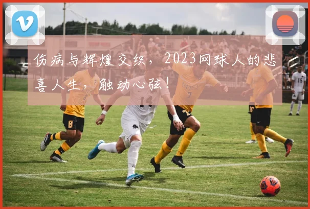 伤病与辉煌交织,2023网球人的悲喜人生,触动心弦!