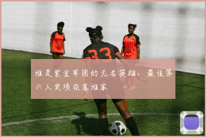 谁是紫金军团的无名英雄,最佳第六人奖项花落谁家