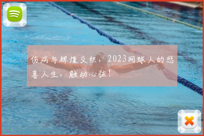 伤病与辉煌交织，2023网球人的悲喜人生，触动心弦！
